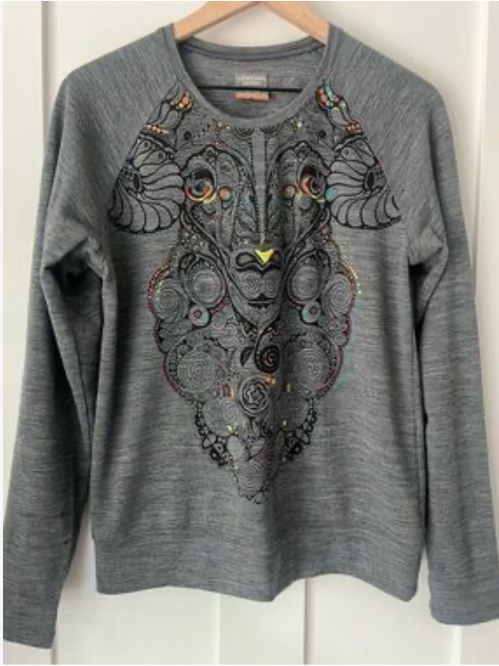 Icebreaker Merino wool graphic long-sleeve crewneck